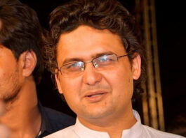 Resolution for artists royalties passed in Senate: Senator Faisal Javed