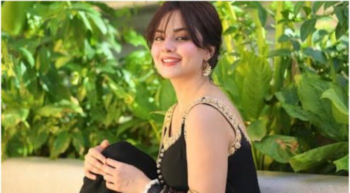 Komal Meer’s Drama ‘Goonj’ Focuses on Verbal Harassment & Legal Protection